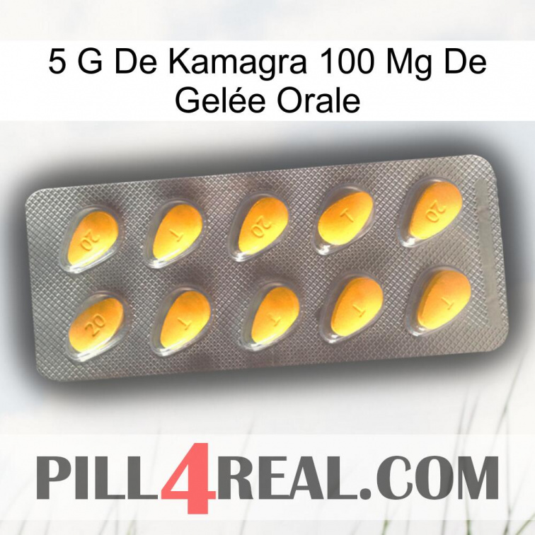 5 G De Kamagra 100 Mg De Gelée Orale cialis1